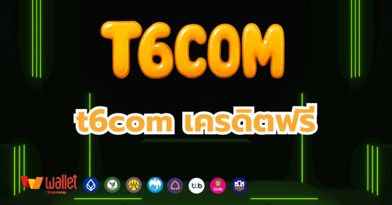 t6com_บทความ4